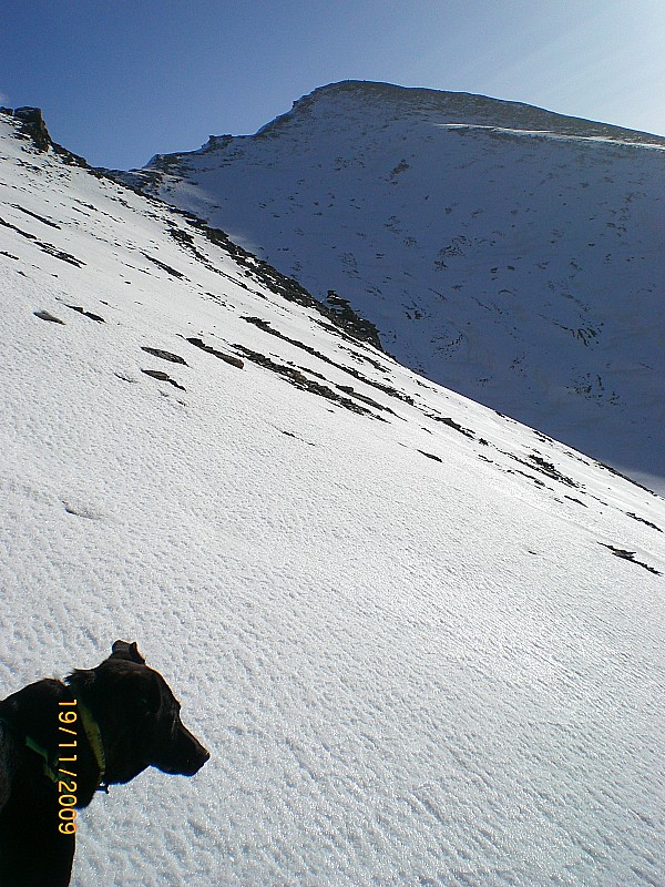 face SW du Pc Lombard : La neige est bien gelée sur ce versant. En fond, le Petit Rochebrune.