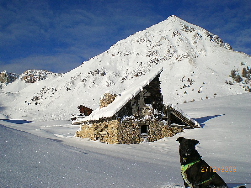 #1 Chalet d Chalet d'Izoard : Devant le Grand Peygu