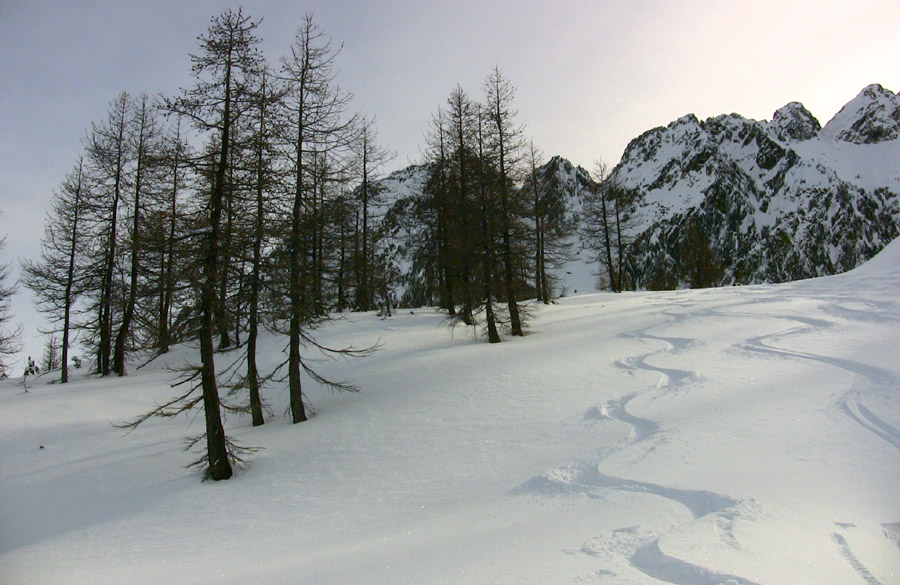 #11 Bonne poudre à la descente Bonne poudre à la descente