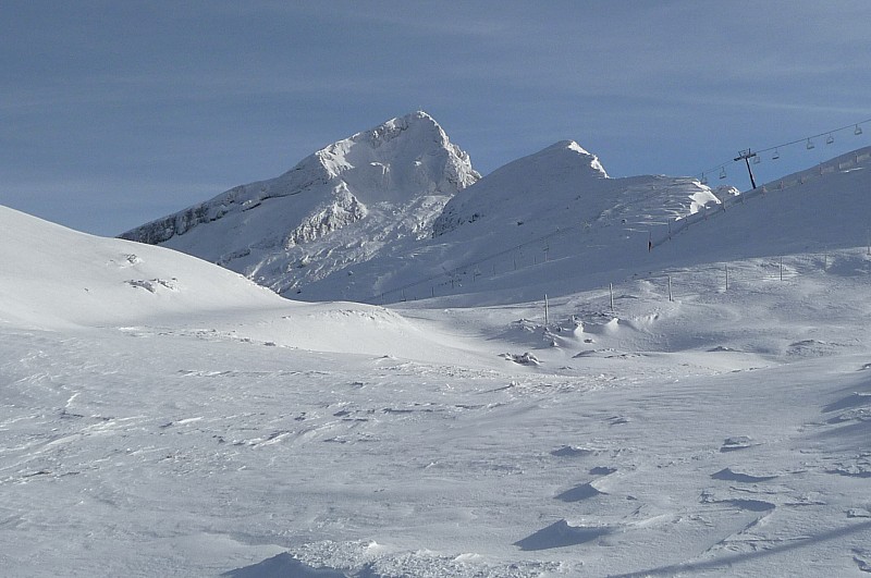 #7 grande moucherolle : givrée comme un sommet patagonnien grande moucherolle : givrée comme un sommet patagonnien