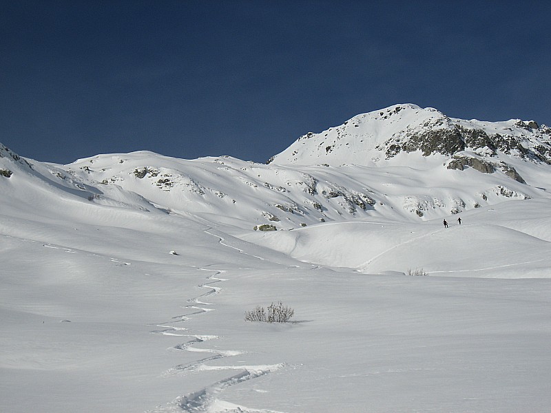 #5 Traces de descente : La neige est encore bien bonne et légère vers 2000m Traces de descente : La neige est encore bien bonne et légère vers 2000m