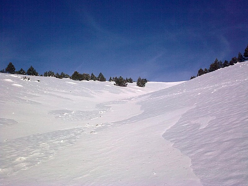 #1 Montée dans la combe : Peinard... pas un chat ! Montée dans la combe : Peinard... pas un chat !