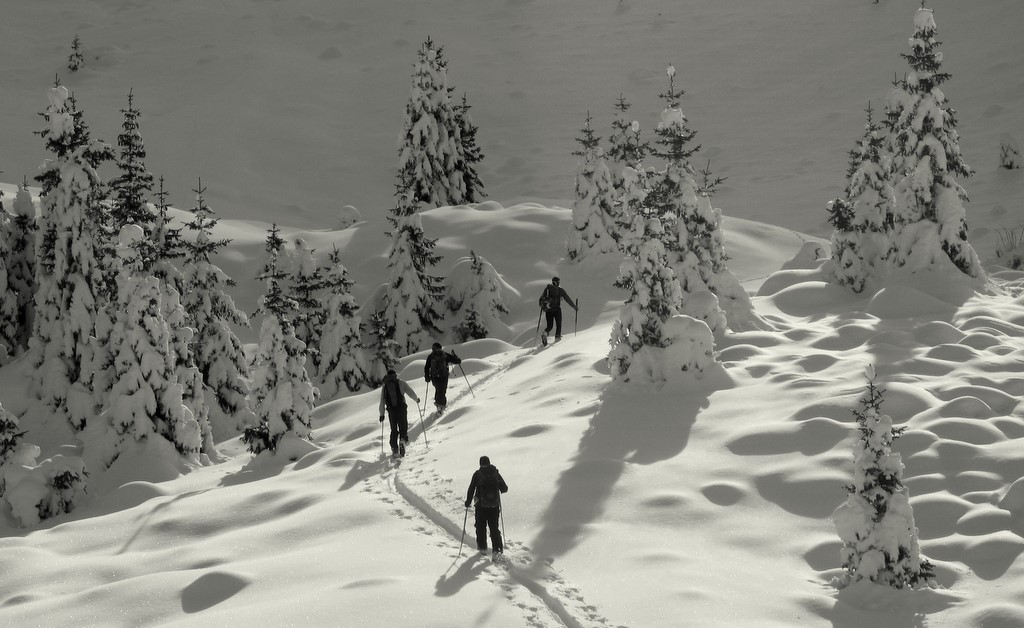 #4 Le bas du Vallon Froid Le bas du Vallon Froid