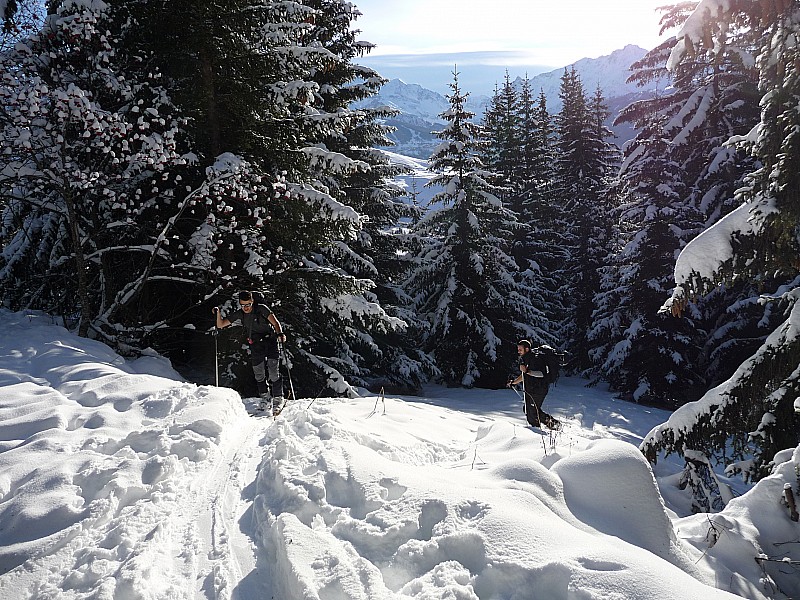 #1 Jib et Guillaume : Dans les bois Jib et Guillaume : Dans les bois