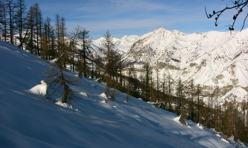 #6 La forêt du Content où l La forêt du Content où l'on aura une bonne neige à la descente