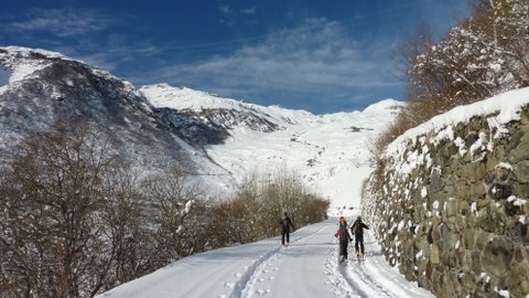 Sur la route du col : Une belle journée d'hiver