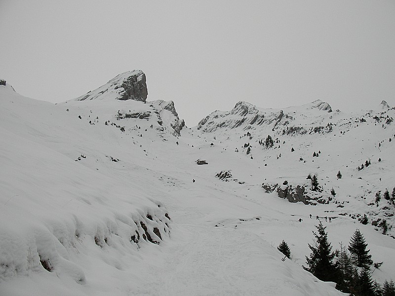 #2 Combe de la blonnière : L Combe de la blonnière : L'état de la combe