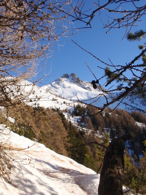 #1 Pointe 2601 m : L Pointe 2601 m : L'objectif du jour