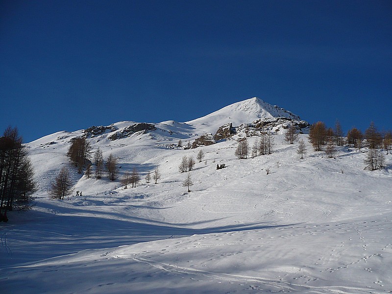 #1 Conditions Conditions