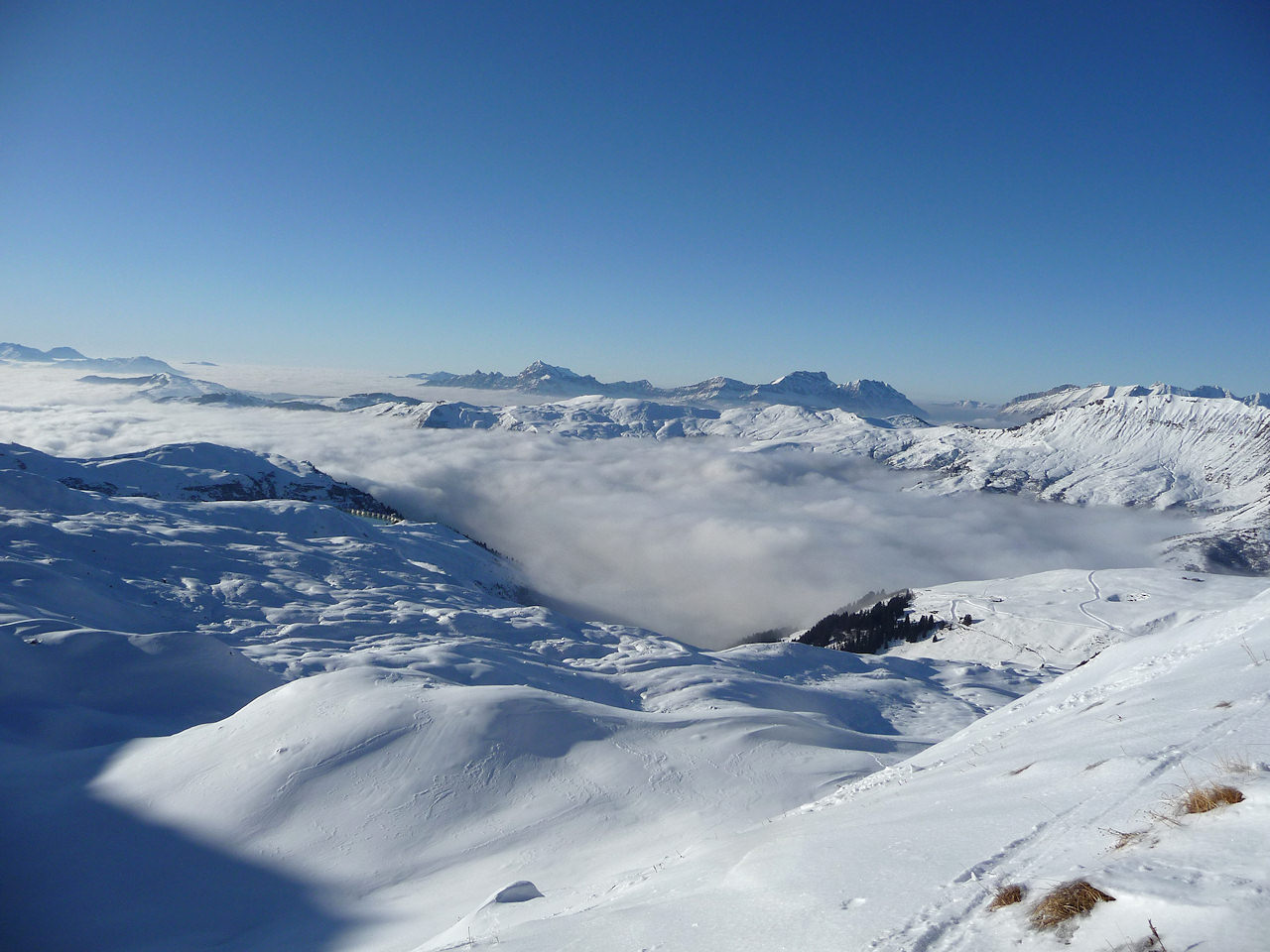 Mer de nuage : Pas pressé de descendre dans le brouillard.