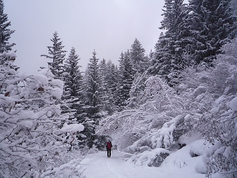 #1 Gran Bagna : Au depart ca se presentait bien Gran Bagna : Au depart ca se presentait bien