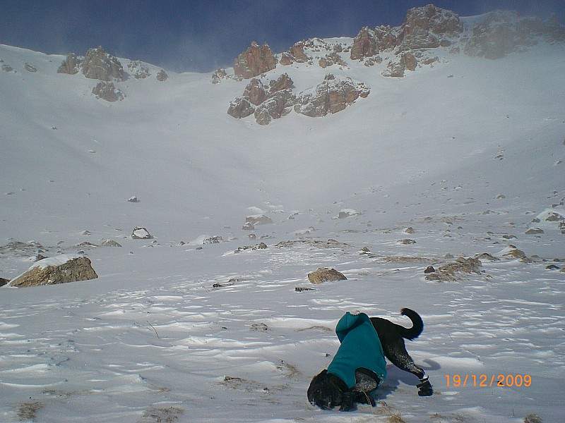 #2 col de la Roya : Sous le col.
La neige, moi, j col de la Roya : Sous le col.
La neige, moi, j'aime bien ça !