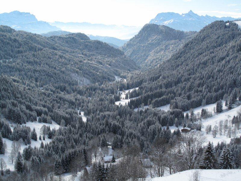 #1 Vue sur le Vallon du foron : La météo semblait encourageante au départ (20/12/09) Vue sur le Vallon du foron : La météo semblait encourageante au départ (20/12/09)