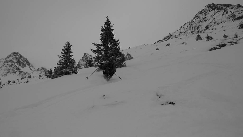#11 vallon du Venetier : tres bonne neige et pas une touchette en choissisant bien ses pentes vallon du Venetier : tres bonne neige et pas une touchette en choissisant bien ses pentes