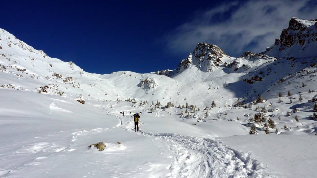 #6 vallon du Venetier : beaucoup de traces vers la Jasse, beaucoup moins vers l vallon du Venetier : beaucoup de traces vers la Jasse, beaucoup moins vers l'Aigleton