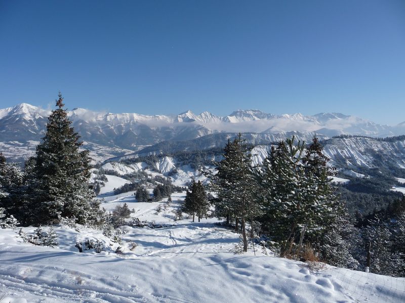 Vu sur le col du Fanget : Beau décor avec les arbres sous la neige