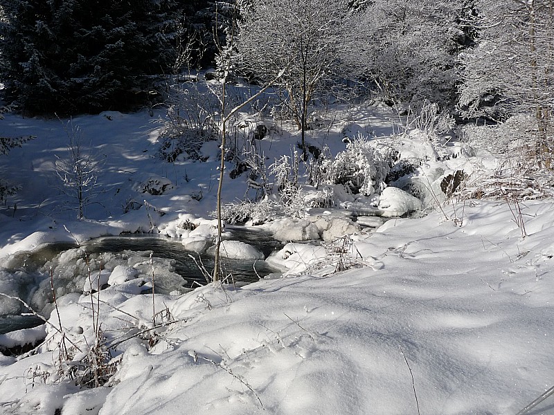 #1 C C'est beau : Petit ruisseau en partie gelé et joliement éclairé.