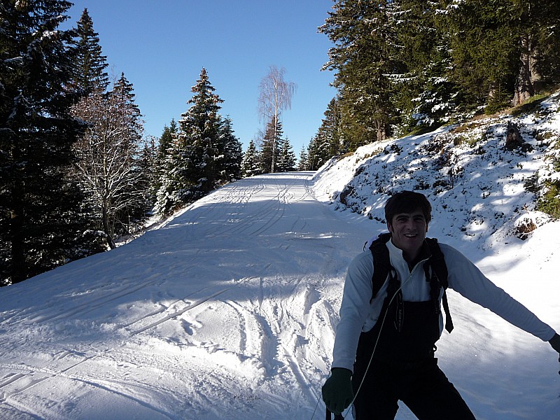 #1 sur la piste : dans la foret sur la piste : dans la foret