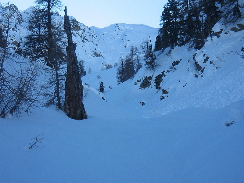 peu après le ref. privé : 2200 m: la neige redevient "normale". Le vieux mélèze, lui, ne verdira plus !