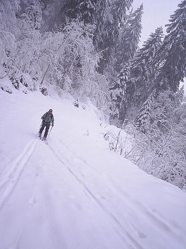 #3 Chemin : Le chemin forestier au début de la montée Chemin : Le chemin forestier au début de la montée