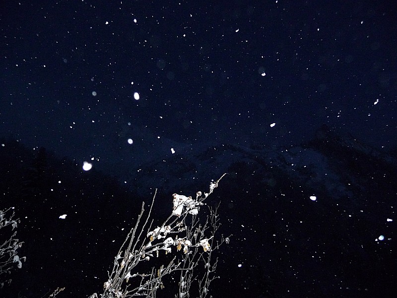 Ambiance nocturne hivernale : Quelle ambiance tout de même !