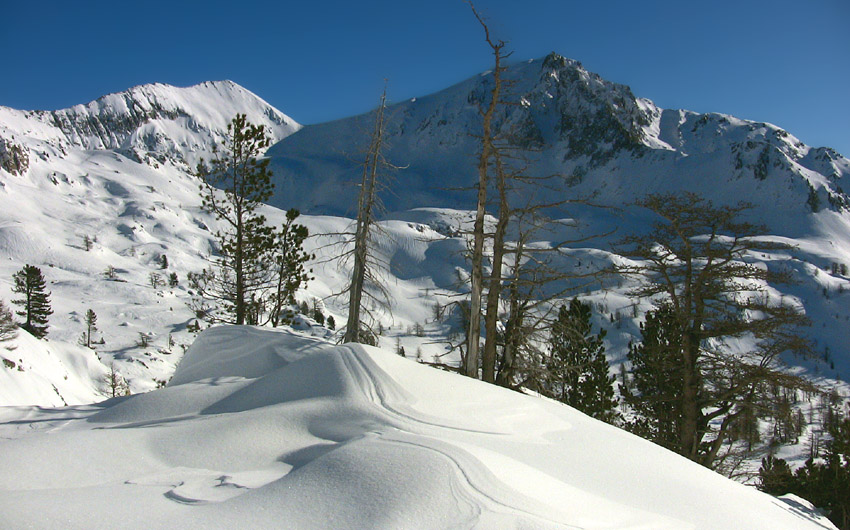 #11 Pagari de Salèse et Rogué Pagari de Salèse et Rogué