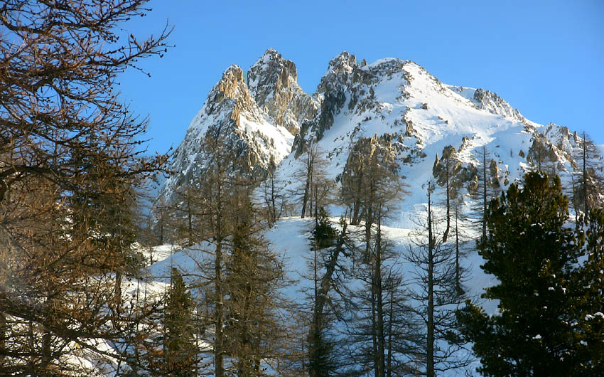 #6 Le Rogué en toile de fond Le Rogué en toile de fond