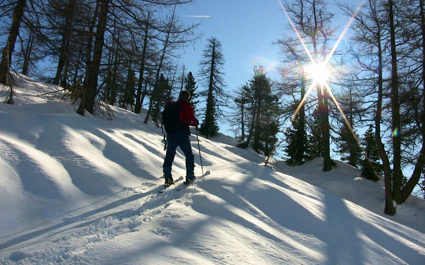 #7 Francois à la trace Francois à la trace