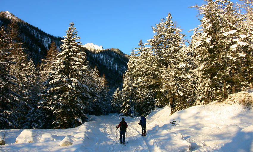 #1 Ambiance blanche au départ - 10/15 cm de fraiche Ambiance blanche au départ - 10/15 cm de fraiche