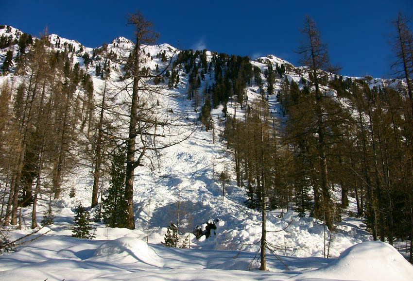 #3 Nombreuses coulées et avalanches en tous secteurs.Les pentes ont purgé. Nombreuses coulées et avalanches en tous secteurs.Les pentes ont purgé.