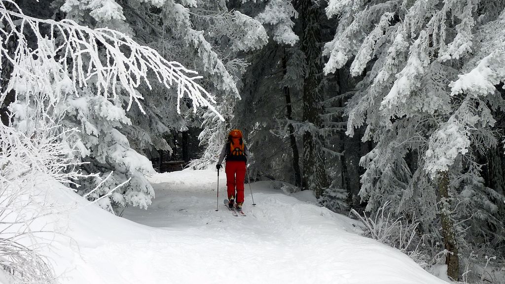 #1 Hiver : enfin un vrai temps de saison Hiver : enfin un vrai temps de saison