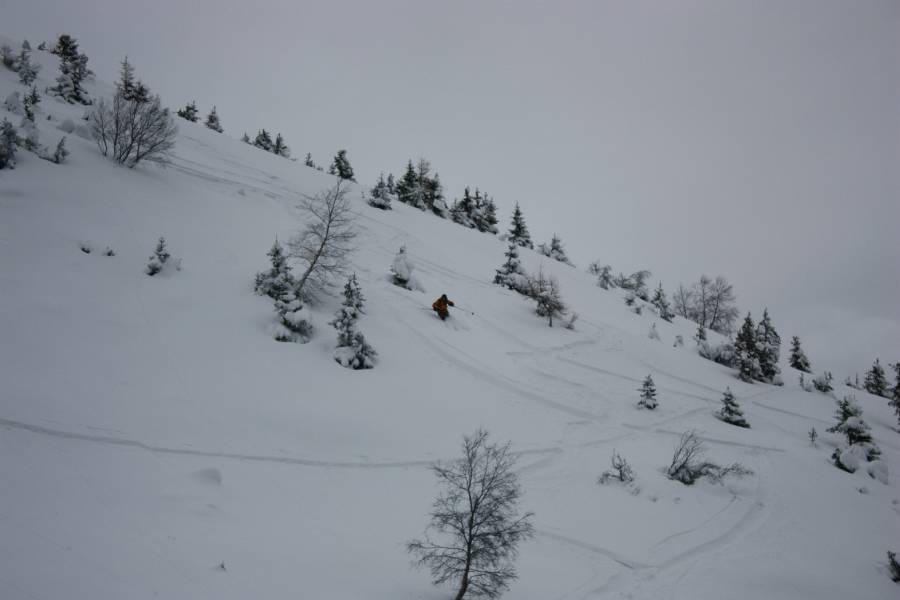 #6 descente3 : Gavageeeeeeeeeee descente3 : Gavageeeeeeeeeee