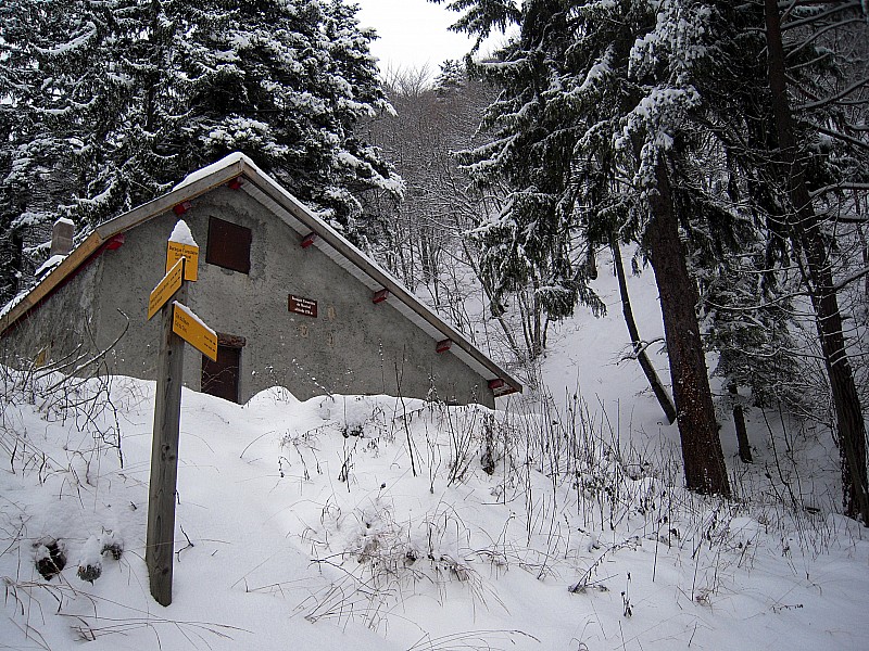 #4 La cabane La cabane