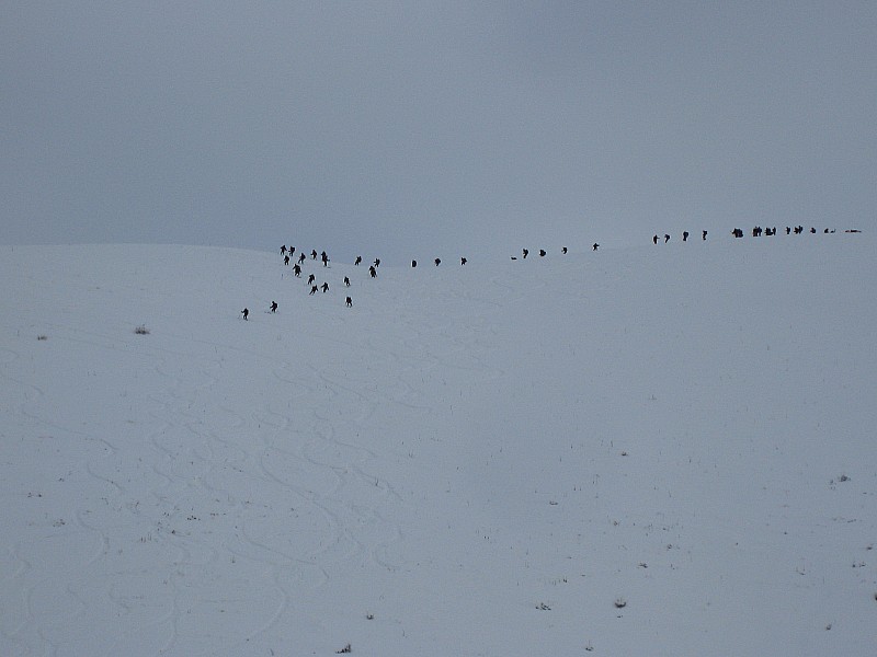 #6 Chasseurs alpins : y a du monde Chasseurs alpins : y a du monde