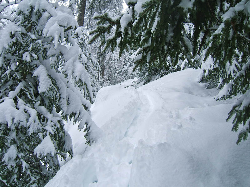 #13 Giarons : Non, non c Giarons : Non, non c'est bien une trace de descente!!