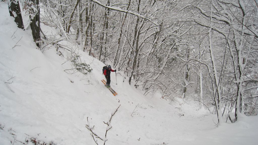 Sentier : c'est pas la partie la plus sympa