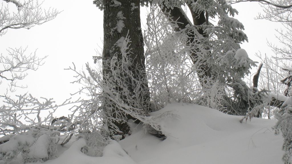 #5 Hiver : tout est givré Hiver : tout est givré