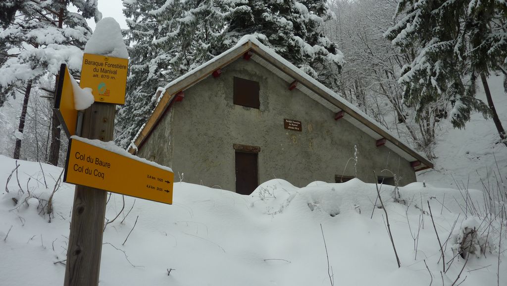 Baraque Forestiere : à partir de maintenant, on attaque le single du Baure