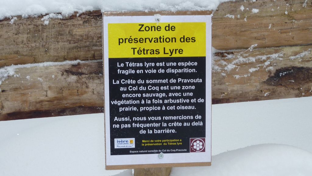 Tetra Lyre : la zone de protection sur le Dome d'Arguille