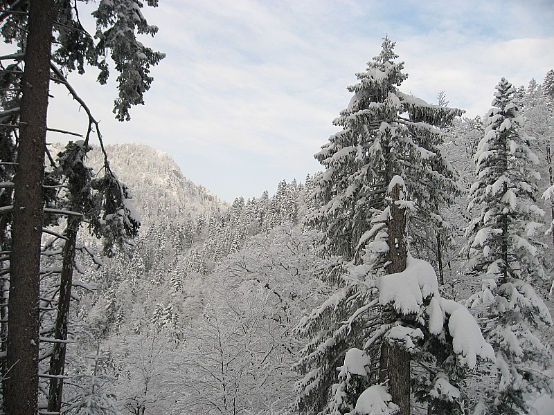AOC neige de Chartreuse : Dépôt de pièce supplémentaire pour le Label