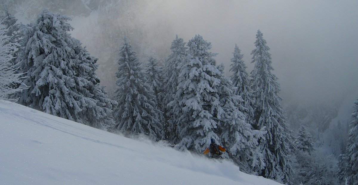 #13 Poudre volante : et sapins chargés ! Poudre volante : et sapins chargés !
