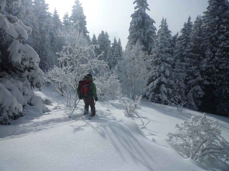 #2 Brouffier : Nan,y Brouffier : Nan,y'a pas de neige.En fait,trop dans cette partie ;-)