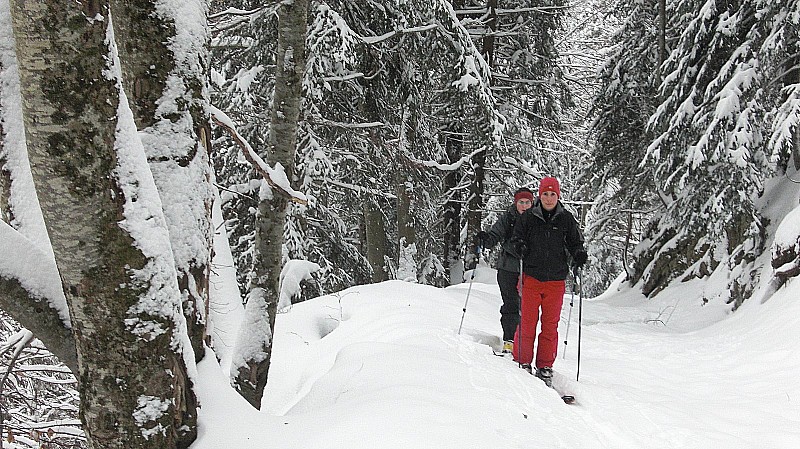 #2 Dans la forêt : sous le monte-charges Dans la forêt : sous le monte-charges