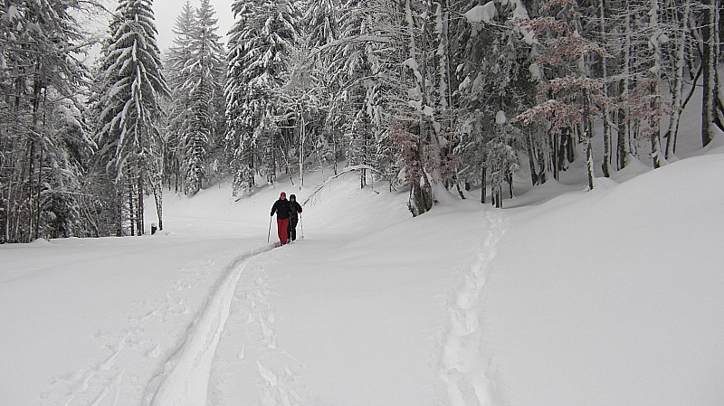 #3 la piste forestière : des Marcellières la piste forestière : des Marcellières