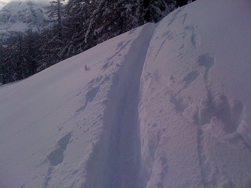 #2 Aunos : Profondeur de poudre 40 cm min ! Aunos : Profondeur de poudre 40 cm min !