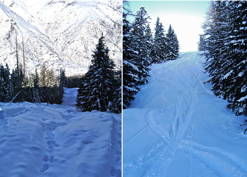 #9 Alpet : La descente du téléski ravagée. Alpet : La descente du téléski ravagée.