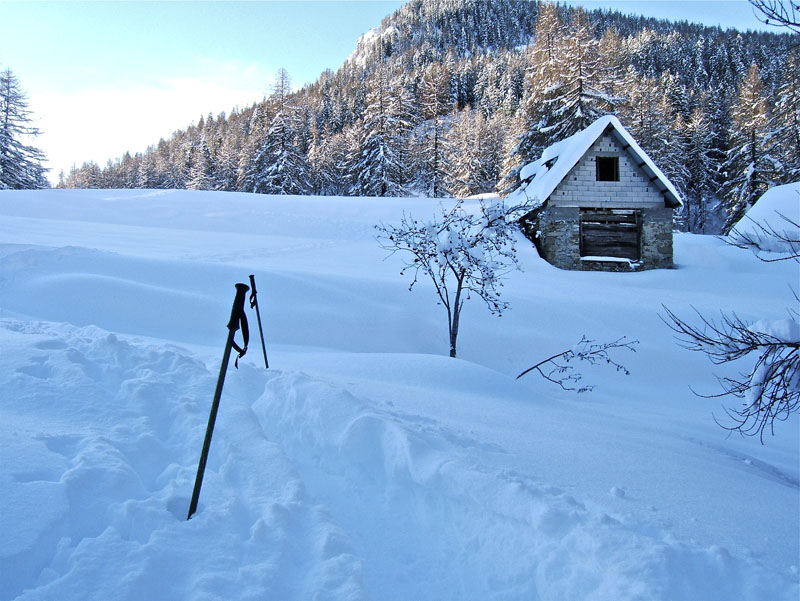 #1 Alpet : Belle quantité au col de l Alpet : Belle quantité au col de l'Anelle, environ 80cm.