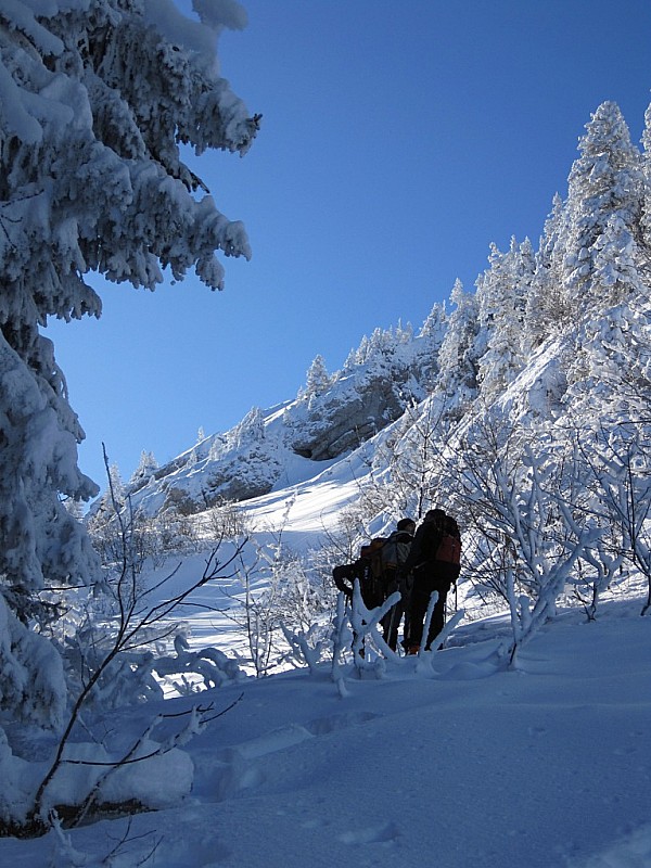 #3 Ptit Som : sortie de la forêt Ptit Som : sortie de la forêt