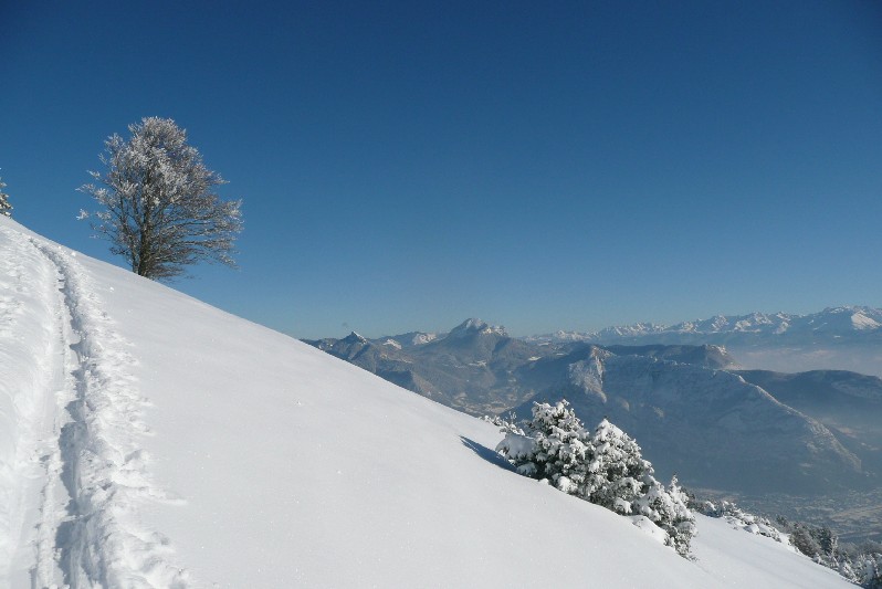 Chartreuse vu de Sornin : la trace est faite