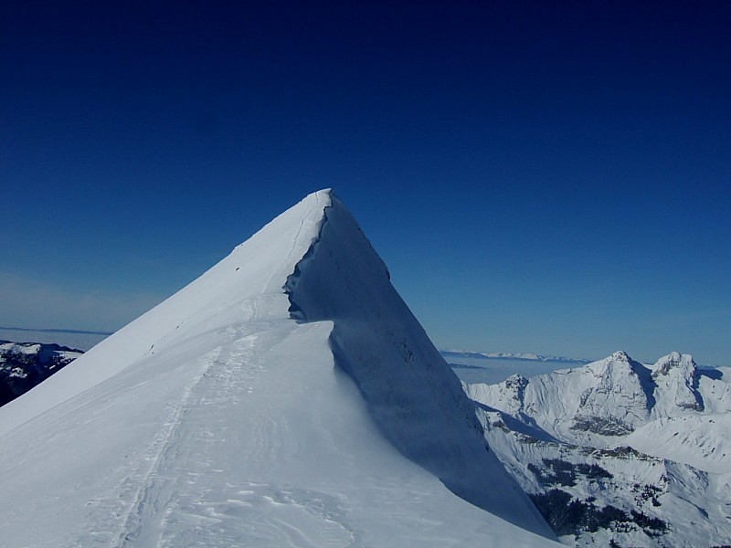 #5 Sommet de Tardevant : Le sommet . Ca souffle ! Sommet de Tardevant : Le sommet . Ca souffle !